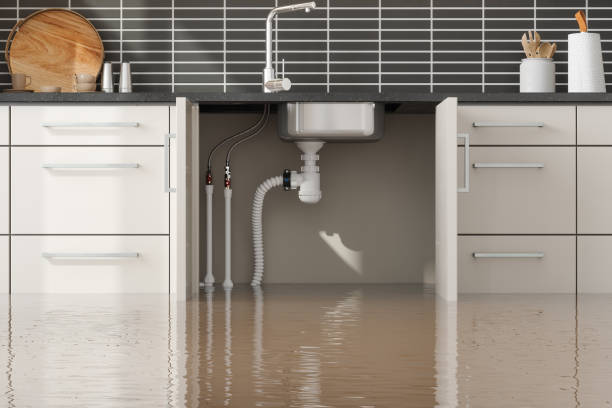 Professional Water damage restoration in Northridge, OH